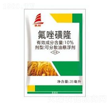 10%�����¡-ϲ�S��