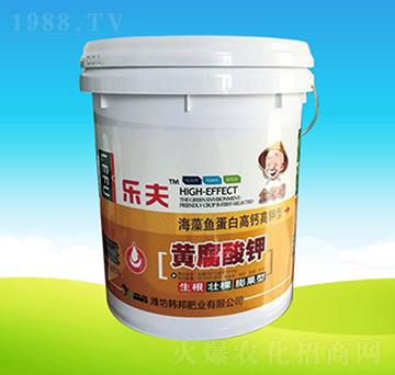 �����S�����-�n��ʘI(y��)