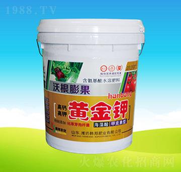 �ָ�����S���-�n��ʘI(y��)