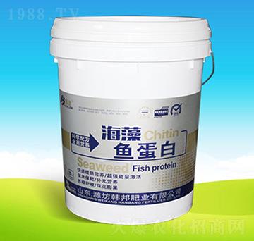 �����~����-�n��ʘI(y��)