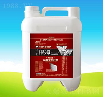 ����-�n��ʘI(y��)