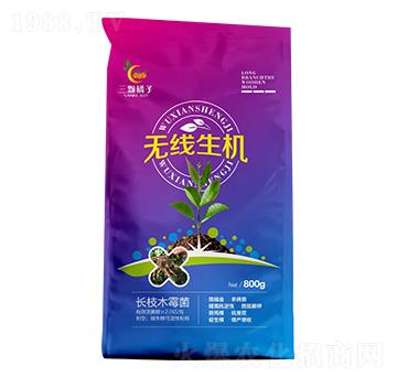 �o�����C-���w����