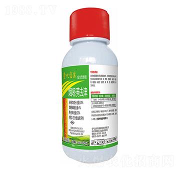 24%���ס�ݬȥ��-��