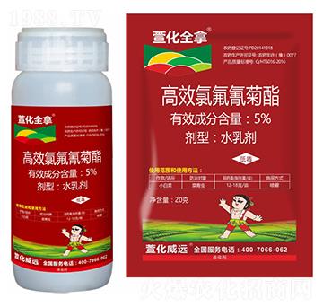 5%��Ч�������-�滯