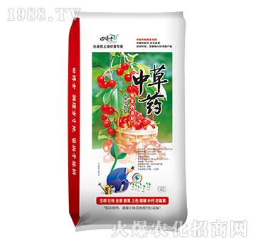 ΢�������-�в�ˎ-�ﲩʿ