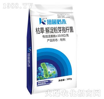 �ݲݡ������ѿ�ߗU��-�����ؚ�-�T�_