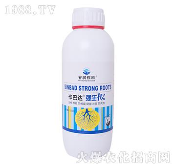 強(qiáng)生根-辛巴達(dá)-谷潤作科