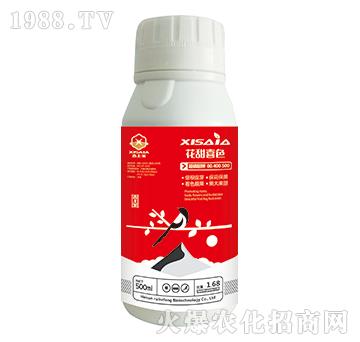 ���׳��00-400-500-����ϲɫ-ϲ�ϼ�