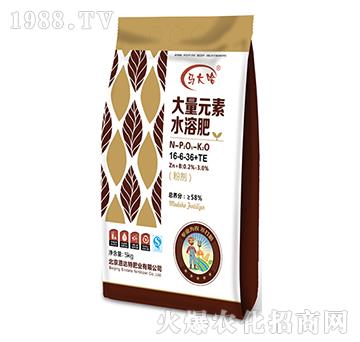 ����Ԫ��ˮ�ܷ�16-6