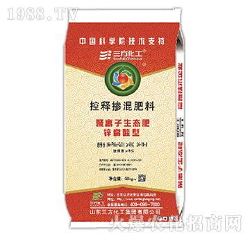 �\�����ጓ����24-16-8-��������