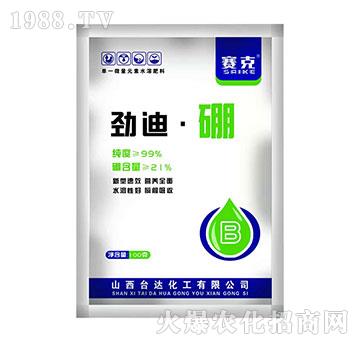 �ŵϡ���-ِ��-�_�_(d��)