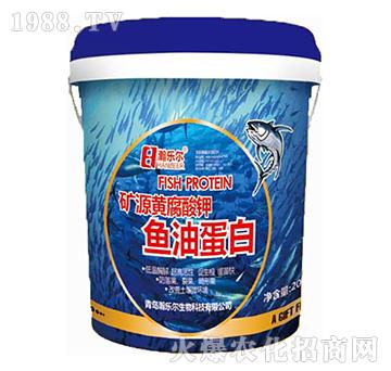 �~�͵���-嫘���