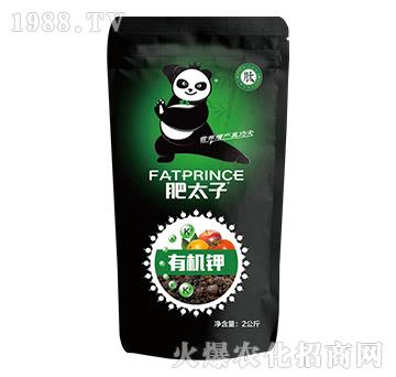 2kg�ЙC(j��)�-��̫��