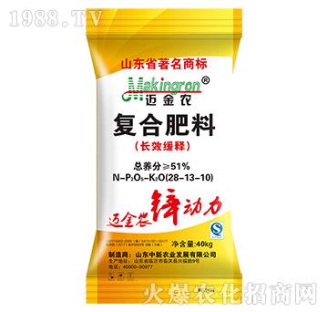 �ͺϷ����LЧ���28-13-10-�~���r(n��ng)-�����r(n��ng)�I(y��)