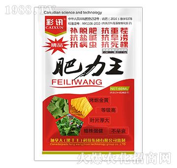 ������-��Ӎ-���S��