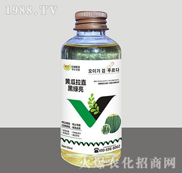 �S����ֱ�ھG��-�R�Sֲ��