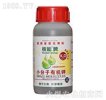 ������С�����ЙC(j��)�-� �����