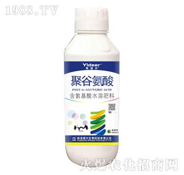 �۹Ȱ���-� �����