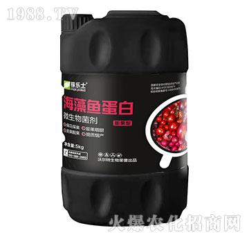 ����ͺ����~(y��)����-�ژ�(l��)ʿ