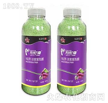 �o(w��)������-�����-���A����(l��)