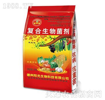 ��M��ͺ�����������t��-ꖹ�����