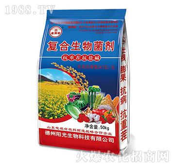 �ͺ��������-��M��{��-ꖹ�����