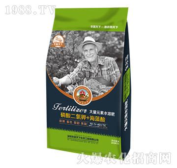 20kg����Ԫ��ˮ�ܷ�10-5-40+TE-�r������