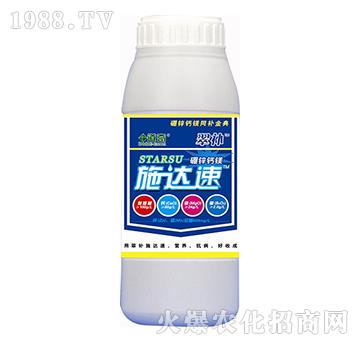 ʩ���_-���a-����