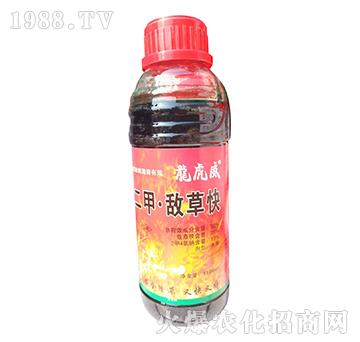 38%���ס����ݿ�-������-�W�ρ�