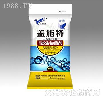 ΢�������-�wʩ��-���w�r�I(y��)