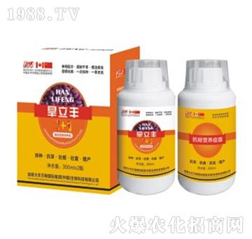 �����S�޻���N��-�S�f��