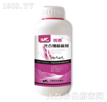 ��ϼ�(x��)������-�y(t��ng)��-Ǭ�r(n��ng)