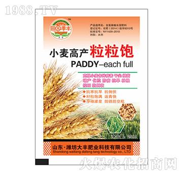 С���߮a�����-��@��