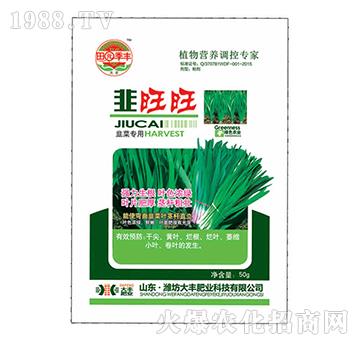 �²ˌ��þ�����-��@��