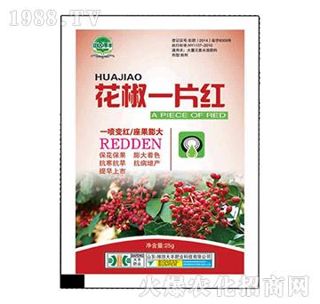 ����һƬ�t-��@���S-