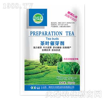 ���~��ѿ��-��@���S-