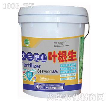 ���S�ʘI(y��)�~����-��@��