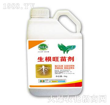 �������焩-��@���S-