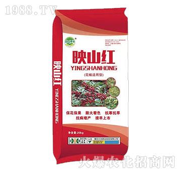 �����m����ˮ�ܷ�-ӳɽ