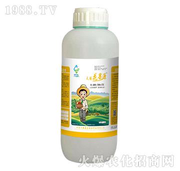 天賜花果源0-400-500+TE-天賜鼎立