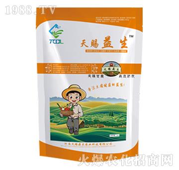 ���n����-���n����