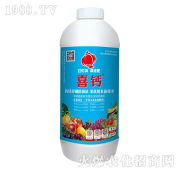 ϲ�}-��(l��)����