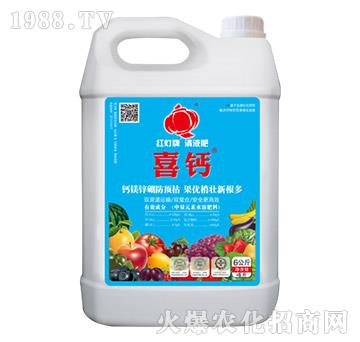 ϲ�}���أ�-������