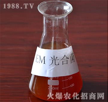 EM��Ͼ�-�VԪ����