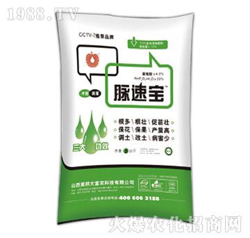 5kg�}�ٌ�-����Ƽ�