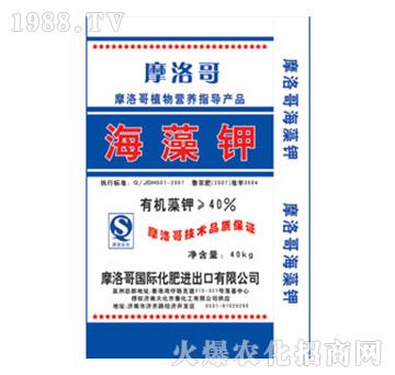 40%�����-Ħ���-