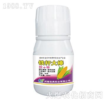 �F�U���-���䌍(sh��)�I(y��)