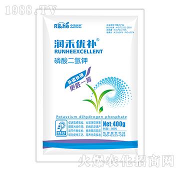 ��������-���̃�(y��u)�a(b��)-�к�����