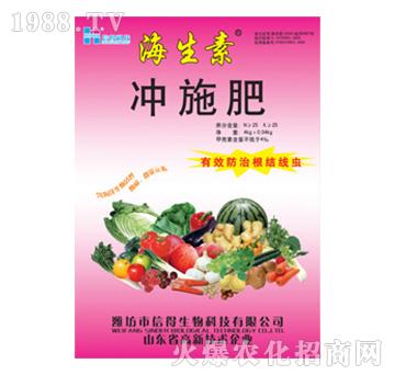 �����؛_ʩ��-�ŵ�