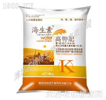 ��⛷�-������-�ŵ�